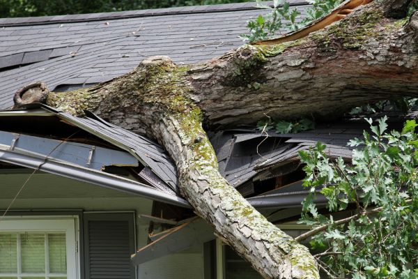 Storm Remediation in Lansdale