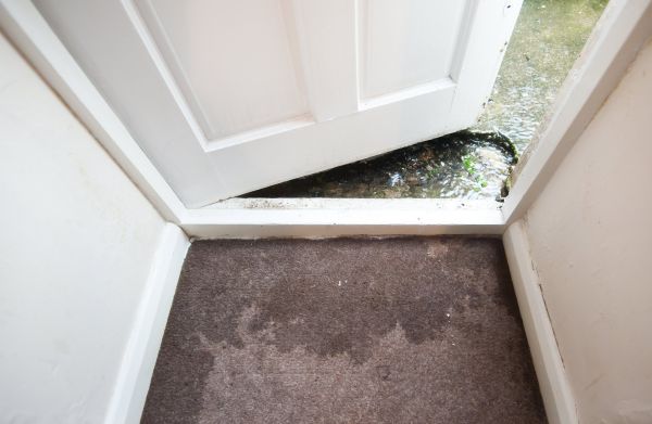 Cost of Wet Carpet Restoration in Lansdale