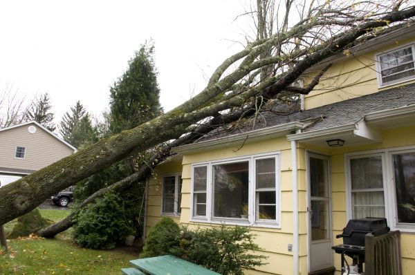 Cost of Hurricane Damage Repair in Lansdale