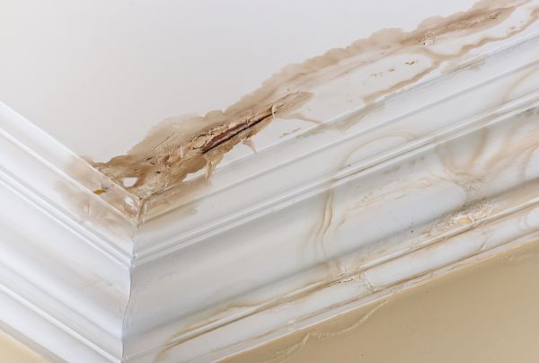 Water Damage Recovery in Lansdale